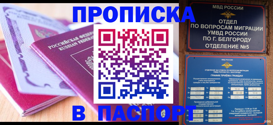 временная регистрация законно в Палласовке